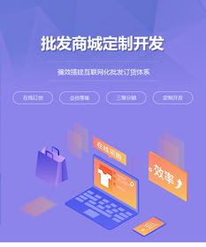 批發(fā)商城定制開發(fā) 批發(fā)商城網(wǎng)站制作 在線批發(fā)商城平臺建設(shè) 江門析客